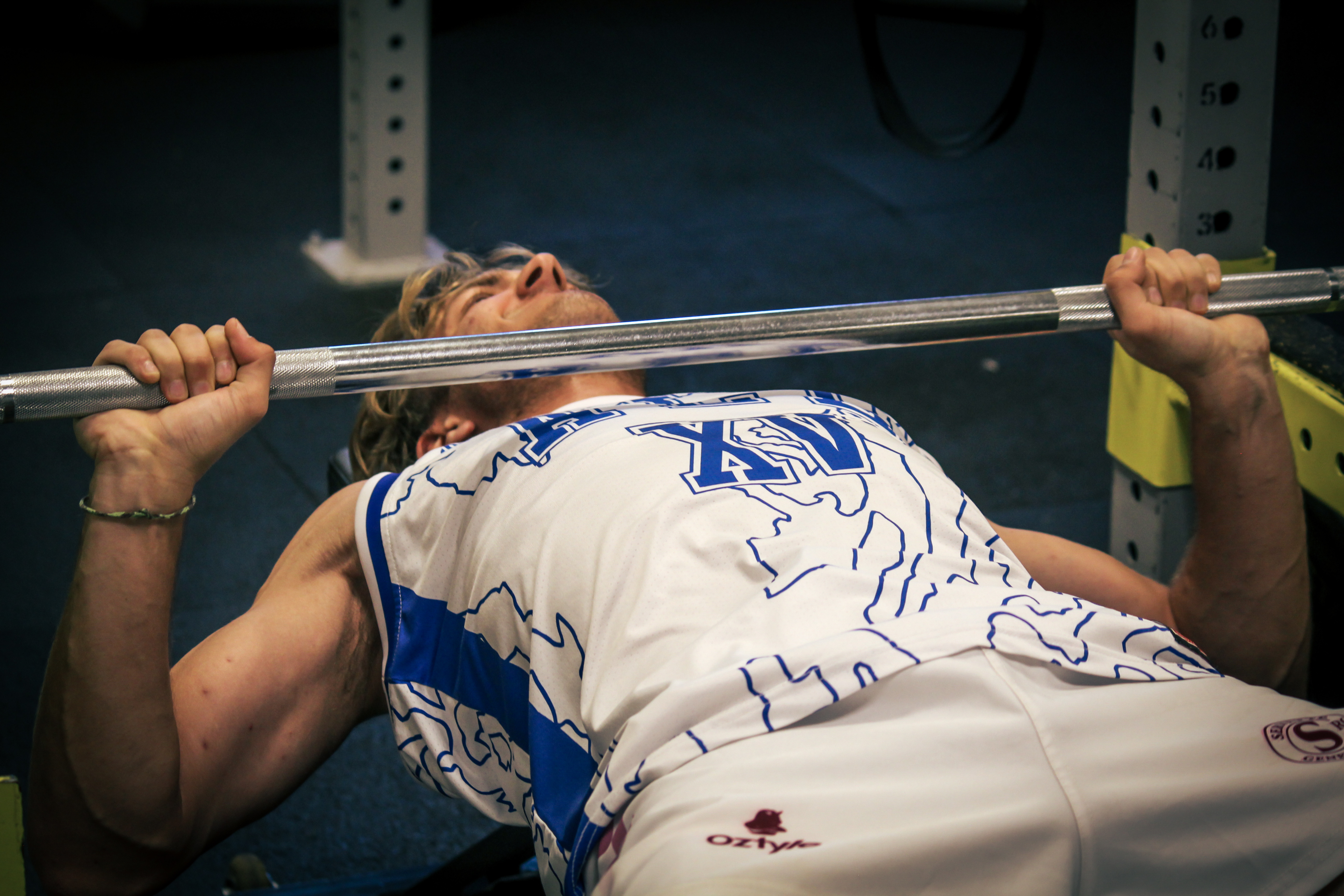 Programme de musculation
